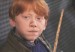 hpss_027RupertGrint